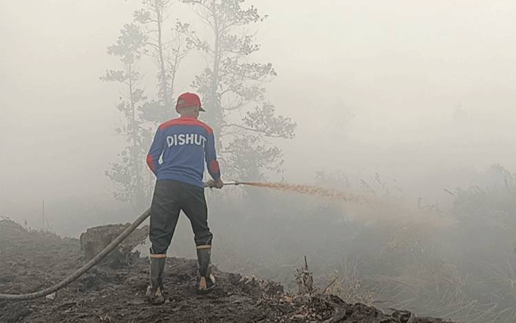 Berjuang di Tengah Asap Pekat dan Lahan Gambut, Tim Gabungan Padamkan 1,29 Hektar Karhutla di Tumbang Nusa